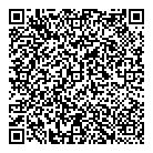 QR код "DVS"