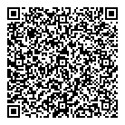 QR код "Витессе"