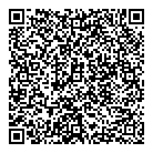 QR код "Звездный"