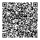 QR код "Полёт"