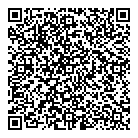 QR код "Динамо"