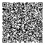 QR код "Пирог Самолет"