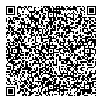 QR код "Метеорит"
