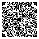 QR код "ДНС"