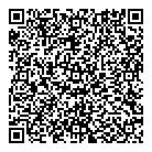 QR код "ДНС"