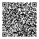 QR код "Айсберг"
