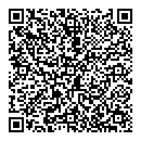 QR код "Лизард"