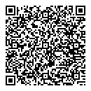 QR код "Laser"