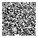 QR код "Глобус"