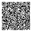 QR код "Луна"