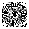 QR код "Solo"
