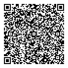 QR код "Алвик"
