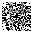 QR код "Da Vinci"