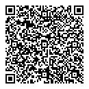 QR код "Промис"
