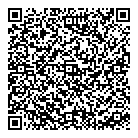 QR код "Аэлита"