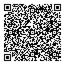 QR код "Сокол-29"