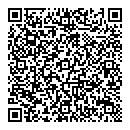 QR код "ДЭМИ-групп"