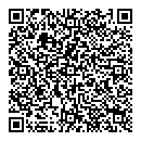 QR код "Созвездие"