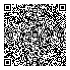 QR код "Шайба"