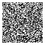 QR код "Звездопад"