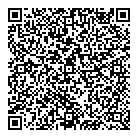 QR код "Созвездие"