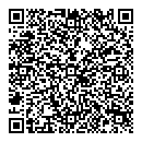 QR код "Iceberg"