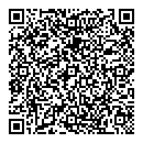 QR код "Indigo"