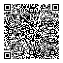 QR код "Дельфин"