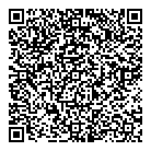 QR код "Анегин"