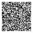 QR код "Ди Версия"