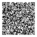 QR код "Арлекино"