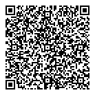 QR код "Метеор"