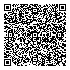 QR код "Star light"