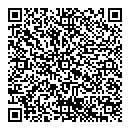 QR код "Феникс"