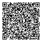 QR код "МВС-практик"