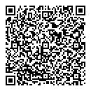 QR код "Спутник"