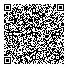 QR код "Диск Строй"