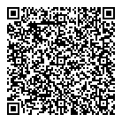 QR код "Drive & fly"