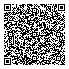 QR код "Близнецы"