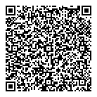 QR код "Магия света"