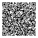QR код "Аудит-Лидер"
