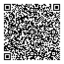 QR код "Визор"