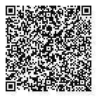 QR код "63 регион"