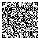 QR код "Vinyl16"