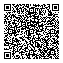 QR код "Спутник"