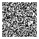 QR код "Вулканизация"