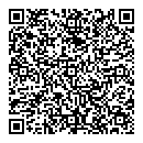 QR код "Check engine"