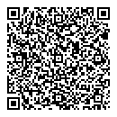 QR код "Спутник"