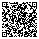 QR код "Алиса"