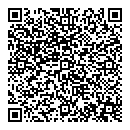 QR код "Факел"